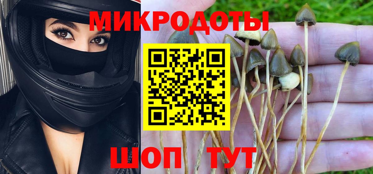 Керчь  Галлюциногенные грибы Magic Shrooms  Псилоцибиновые грибы прущие грибы  как найти   Вход с VPN 